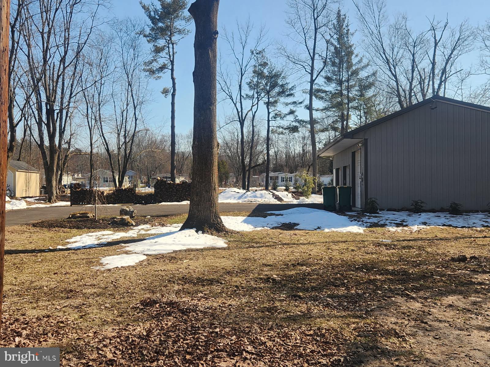 a view of street with large trees