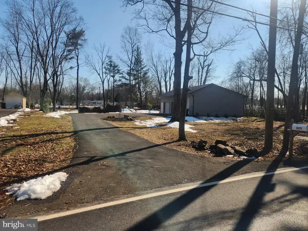 a view of a yard with street