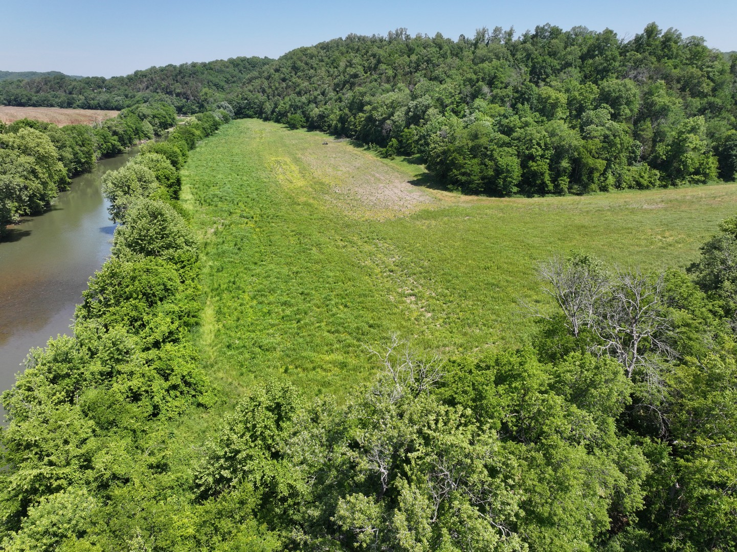 110 Wade Reed Road White Bluff, TN 37187 - Photo 6 of 80
