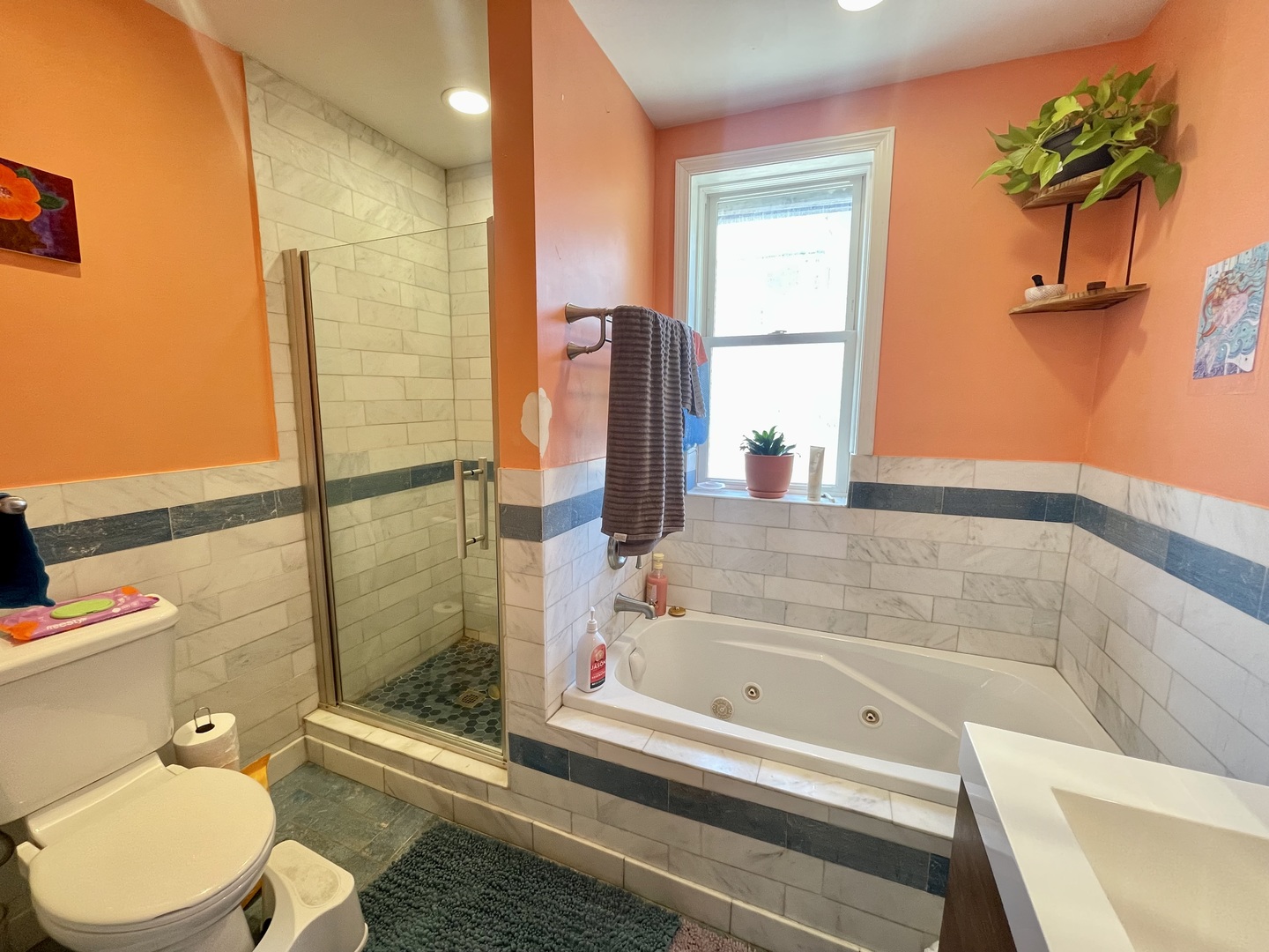7916 South Constance Avenue Chicago, IL 60617 - Photo 23 of 28 a bathroom with a toilet and a shower