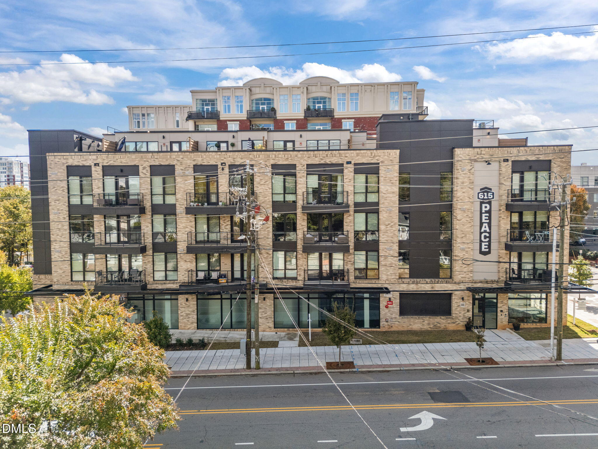 615 West Peace Street, Unit 307 Raleigh, NC 27605 - Photo 19 of 20