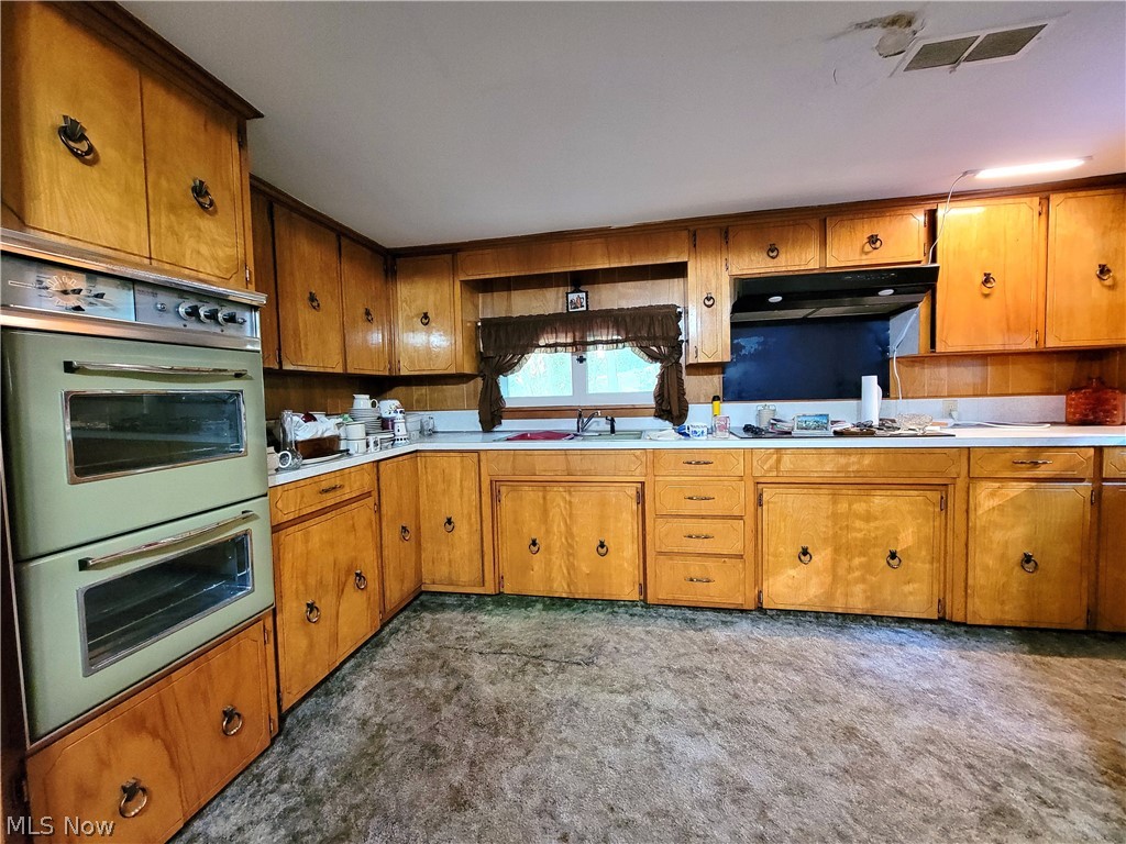 50658 Marietta Road Cumberland, OH 43732 - Photo 7 of 14 Kitchen featuring carpet flooring, extractor fan, sink, and stainless steel appliances
