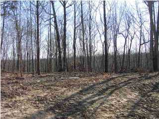 0 Sand Ridge Road Mount Sherman, KY 42764 - Photo 2 of 4 Additional Photo