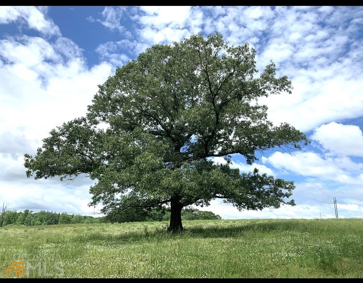 0 Ankerich Road Bowersville, GA 30516 - Photo 1 of 1 Gallery Image 1