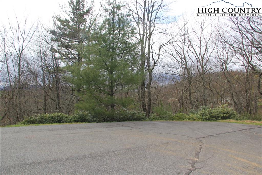 Lot 3 Regency Lane Boone, NC 28607 - Photo 1 of 6 Gallery Image 1
