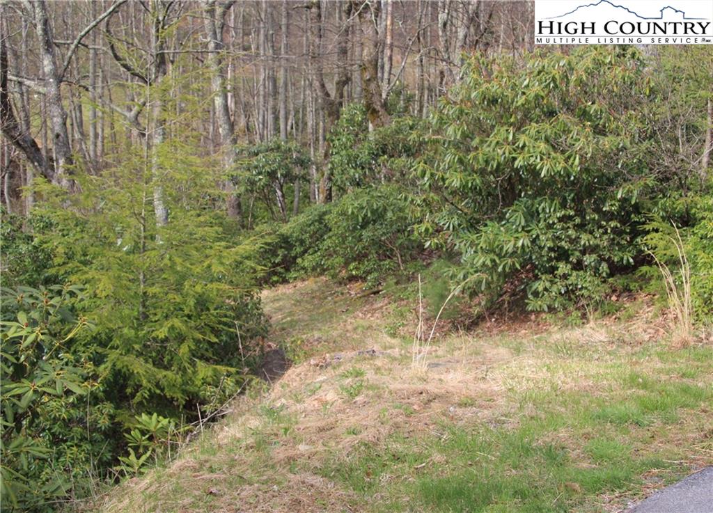 Lot 3 Regency Lane Boone, NC 28607 - Photo 4 of 6 Gallery Image 4