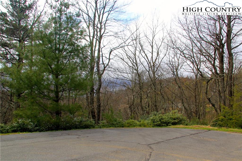 Lot 3 Regency Lane Boone, NC 28607 - Photo 5 of 6 Gallery Image 5