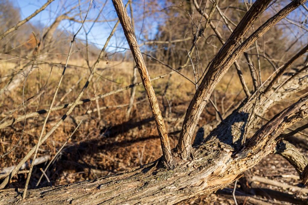 0 189th Street Linwood, KS 66052 - Photo 33 of 65
