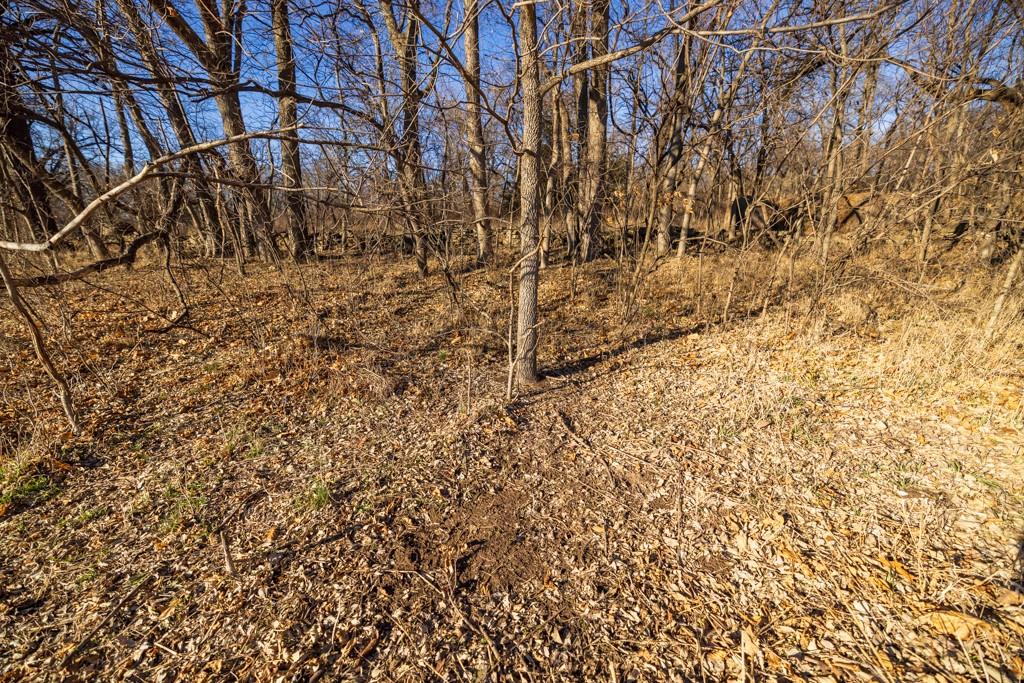 0 189th Street Linwood, KS 66052 - Photo 34 of 65