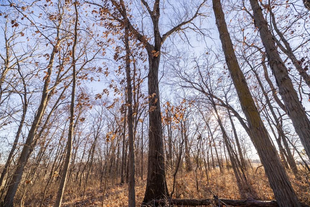 0 189th Street Linwood, KS 66052 - Photo 37 of 65