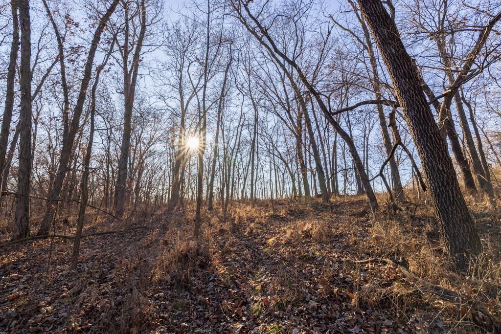 0 189th Street Linwood, KS 66052 - Photo 38 of 65