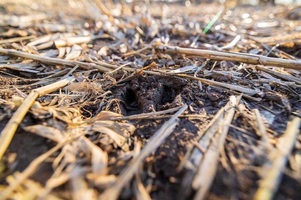 0 189th Street Linwood, KS 66052 - Photo 40 of 65