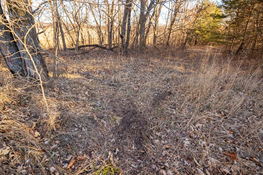 0 189th Street Linwood, KS 66052 - Photo 43 of 65