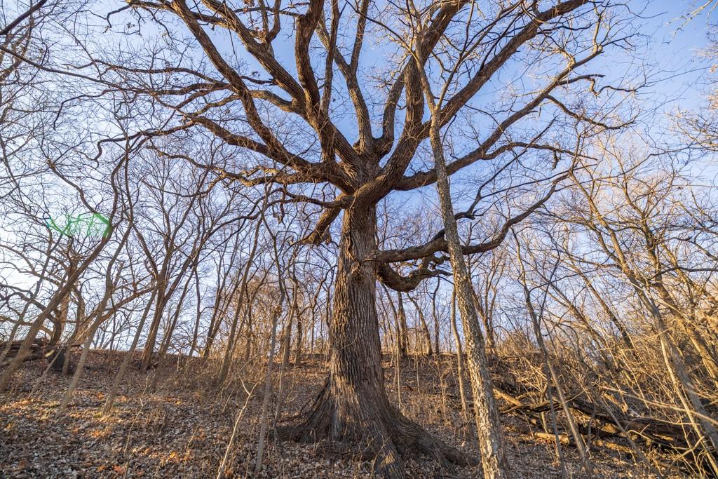 0 189th Street Linwood, KS 66052 - Photo 48 of 65