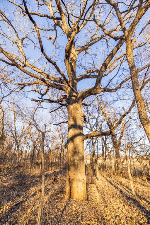 0 189th Street Linwood, KS 66052 - Photo 49 of 65
