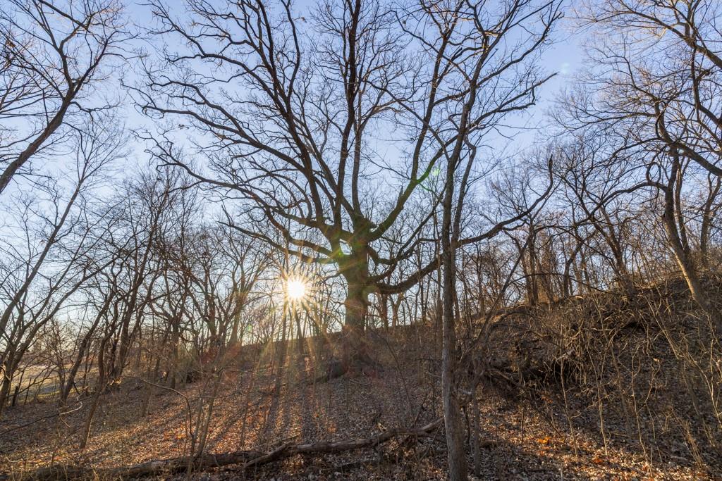 0 189th Street Linwood, KS 66052 - Photo 50 of 65