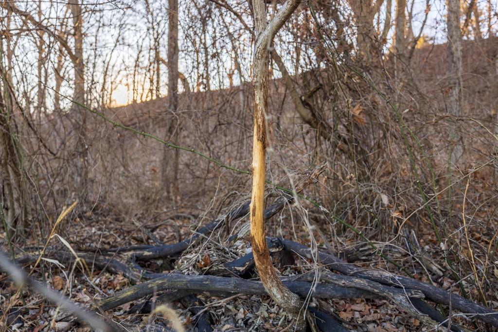 0 189th Street Linwood, KS 66052 - Photo 53 of 65