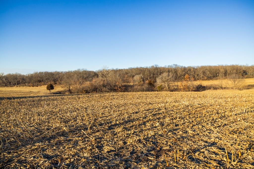 0 189th Street Linwood, KS 66052 - Photo 61 of 65
