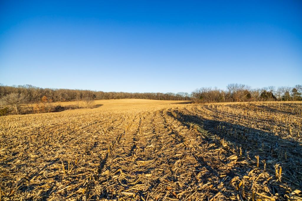 0 189th Street Linwood, KS 66052 - Photo 62 of 65
