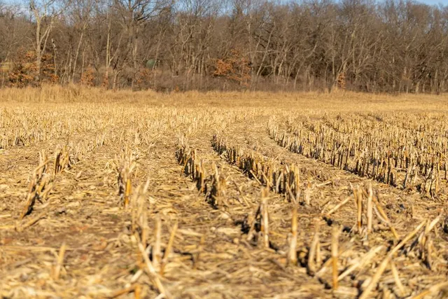 $975,000 | 0 189th Street, Linwood, KS 66052