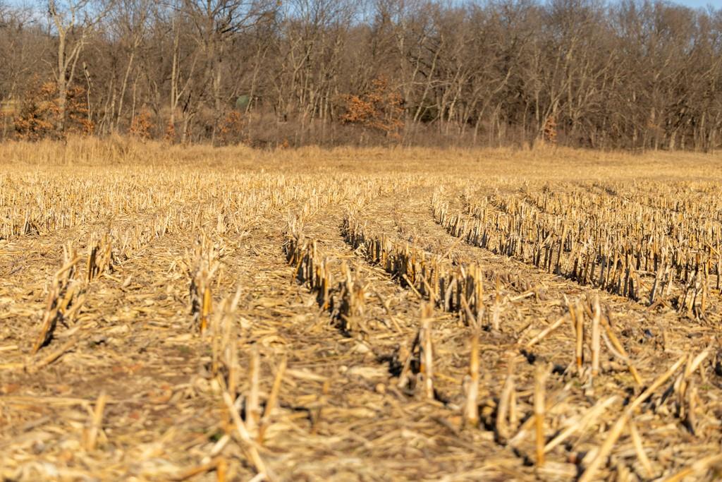 0 189th Street Linwood, KS 66052 - Photo 64 of 65