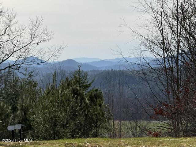 Lot 5 Downings Creek Road Hayesville, NC 28904 - Photo 9 of 11