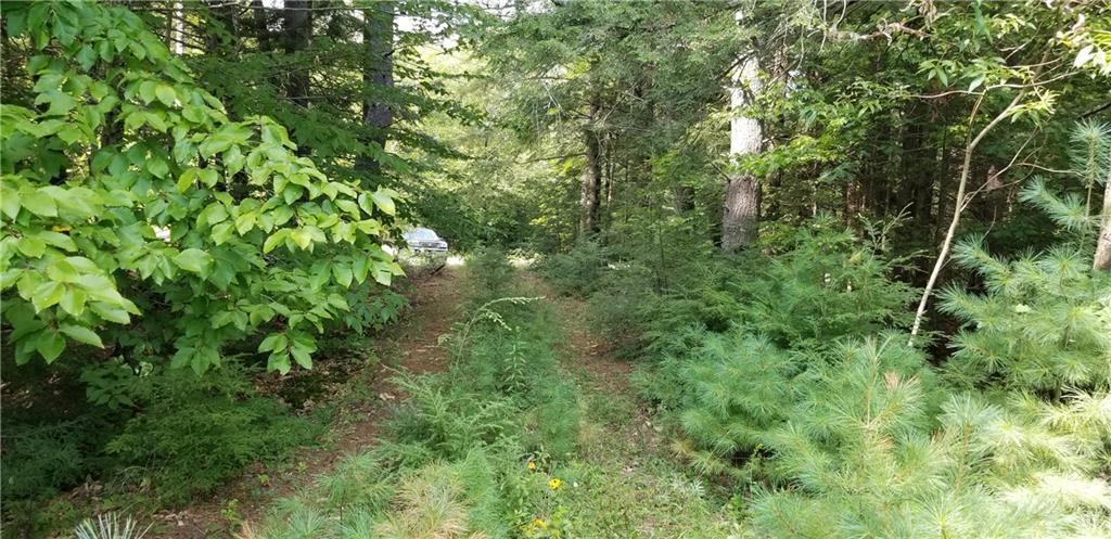 Lot 33 Fogg Road Readfield, ME 04355 - Photo 5 of 5 Photo