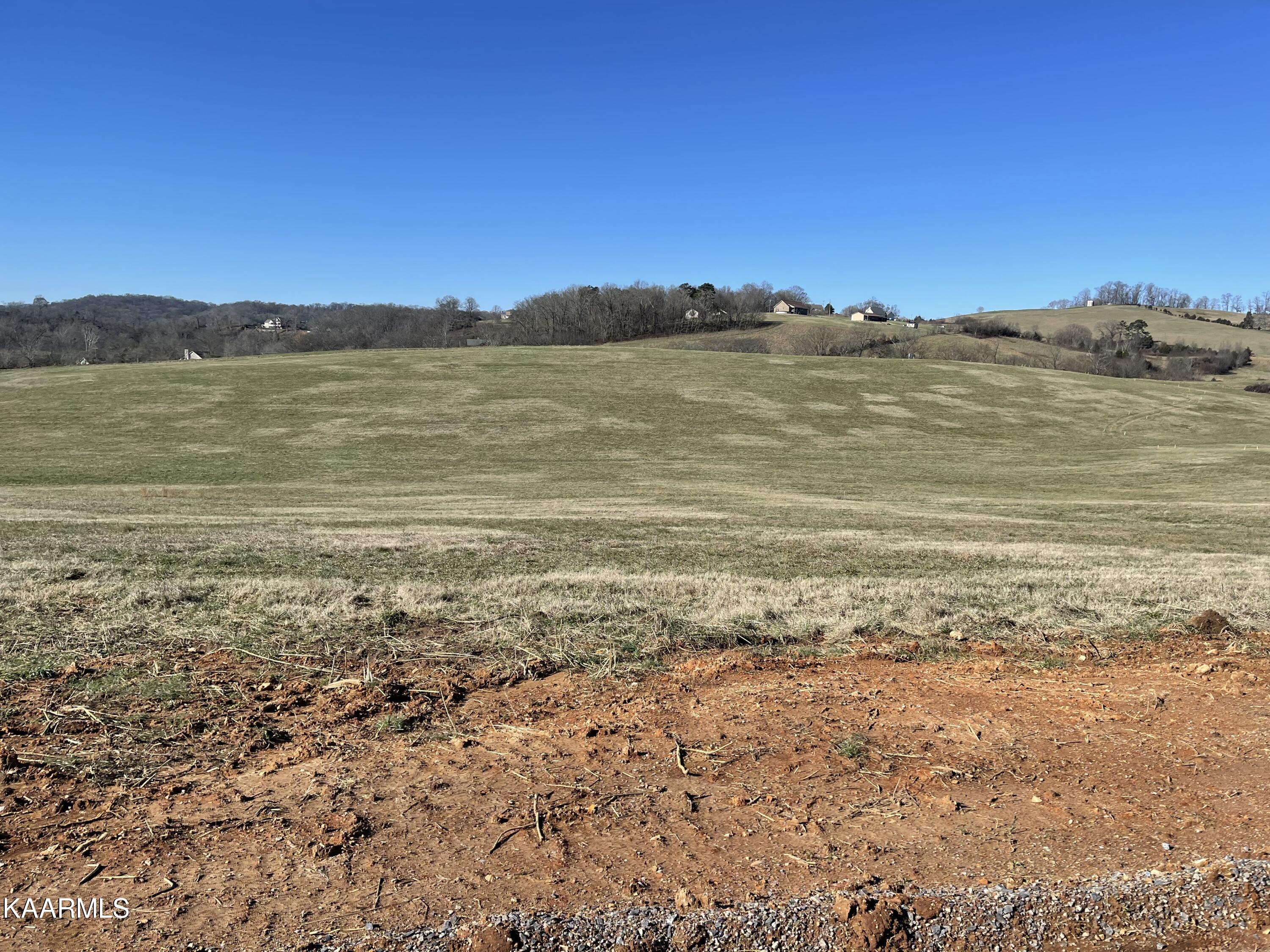 Lot 316 Howell River Road Rutledge, TN 37861 - Photo 1 of 1 IMG_4483