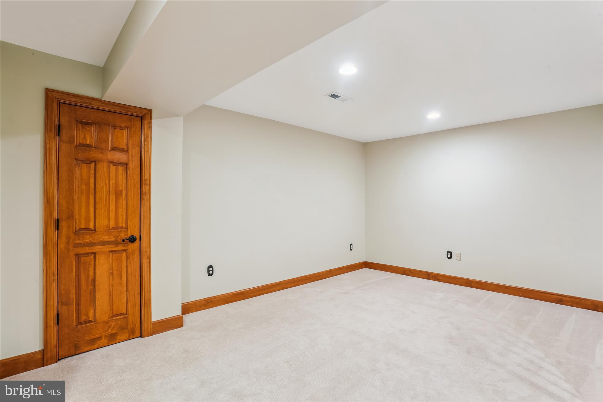 713 Bright Meadow Drive Gaithersburg, MD 20878 - Photo 38 of 54 Rec room w/ carpeting