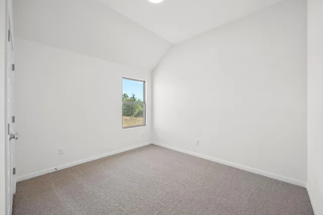 a view of garden with trees in the background