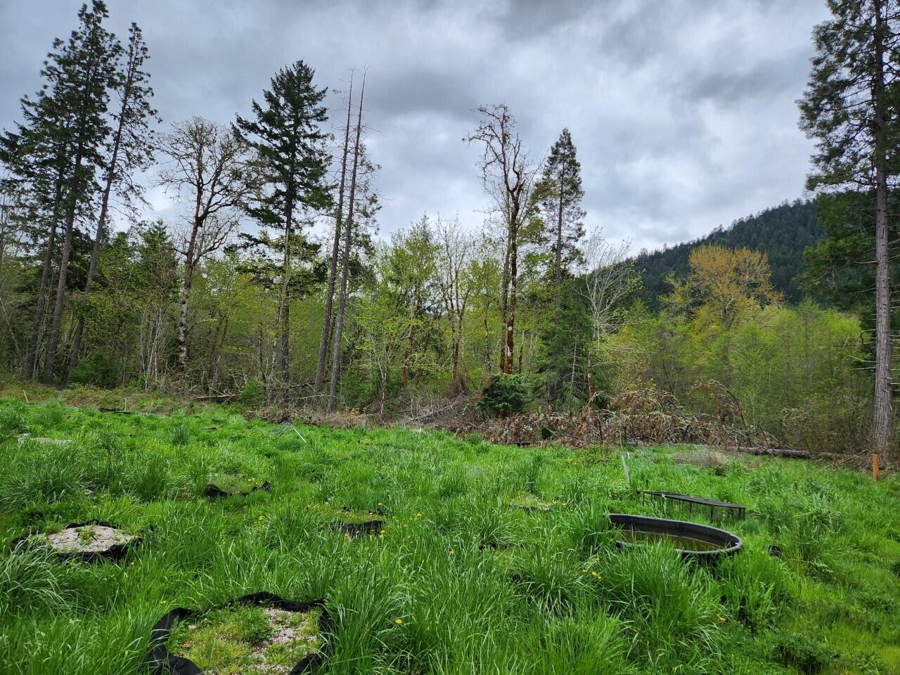 967 Placer Road Wolf Creek, OR 97497 - Photo 8 of 12 20230503225656900452000000-o