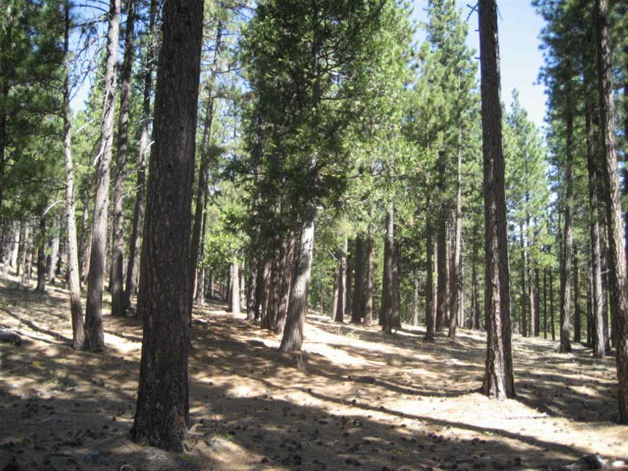 406 Main Street Calpine, CA 96124 - Photo 6 of 8 Gallery Image 6