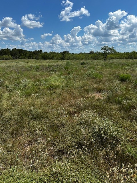 5 Private Road Waelder, TX 78959 - Photo 7 of 9 a view of an outdoor space and yard