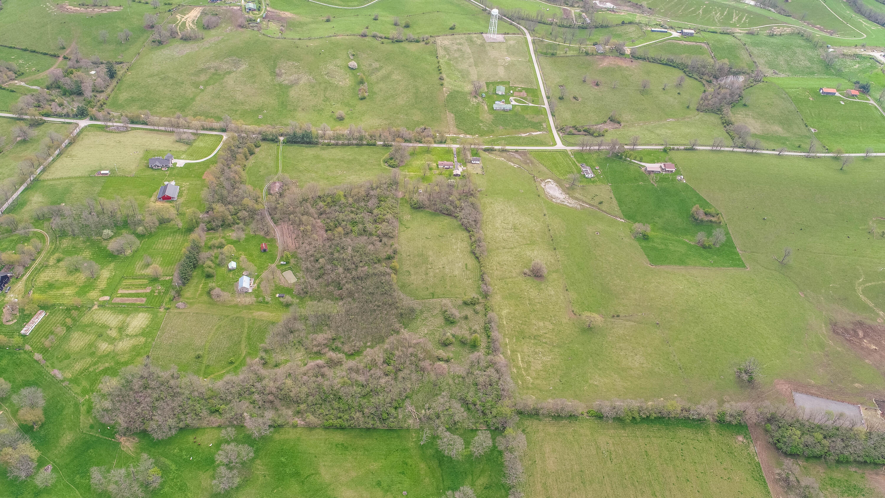 850 College Road Paris, KY 40361 - Photo 34 of 36 DJI_0029
