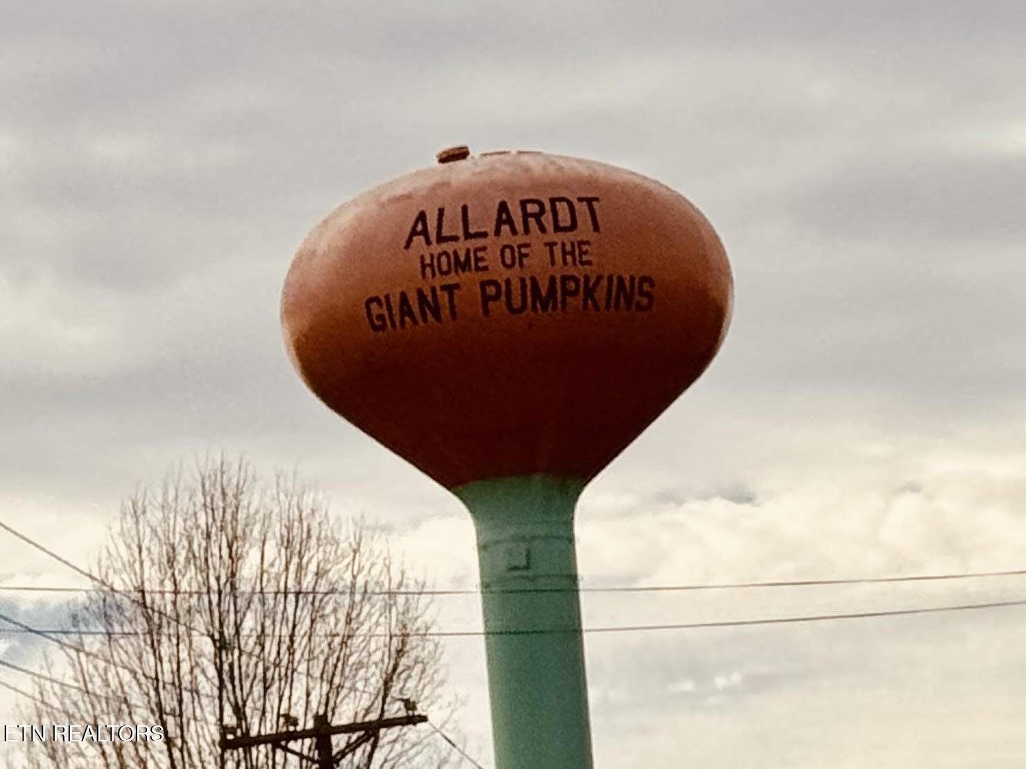 2506 Rugby Pike Jamestown, TN 38556 - Photo 24 of 24