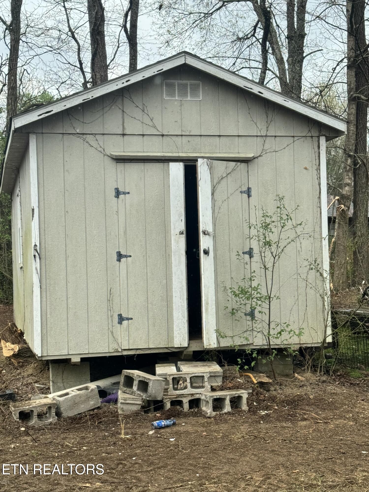 2506 Rugby Pike Jamestown, TN 38556 - Photo 6 of 24