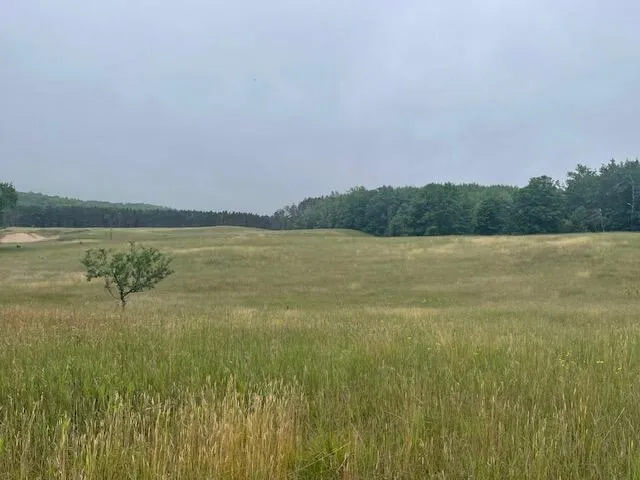 $169,500 | 3881 Co Hwy H, Laona, WI 54541