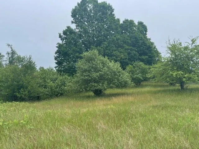 $169,500 | 3881 Co Hwy H, Laona, WI 54541