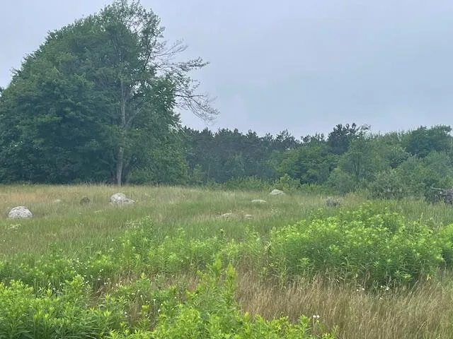 $169,500 | 3881 Co Hwy H, Laona, WI 54541