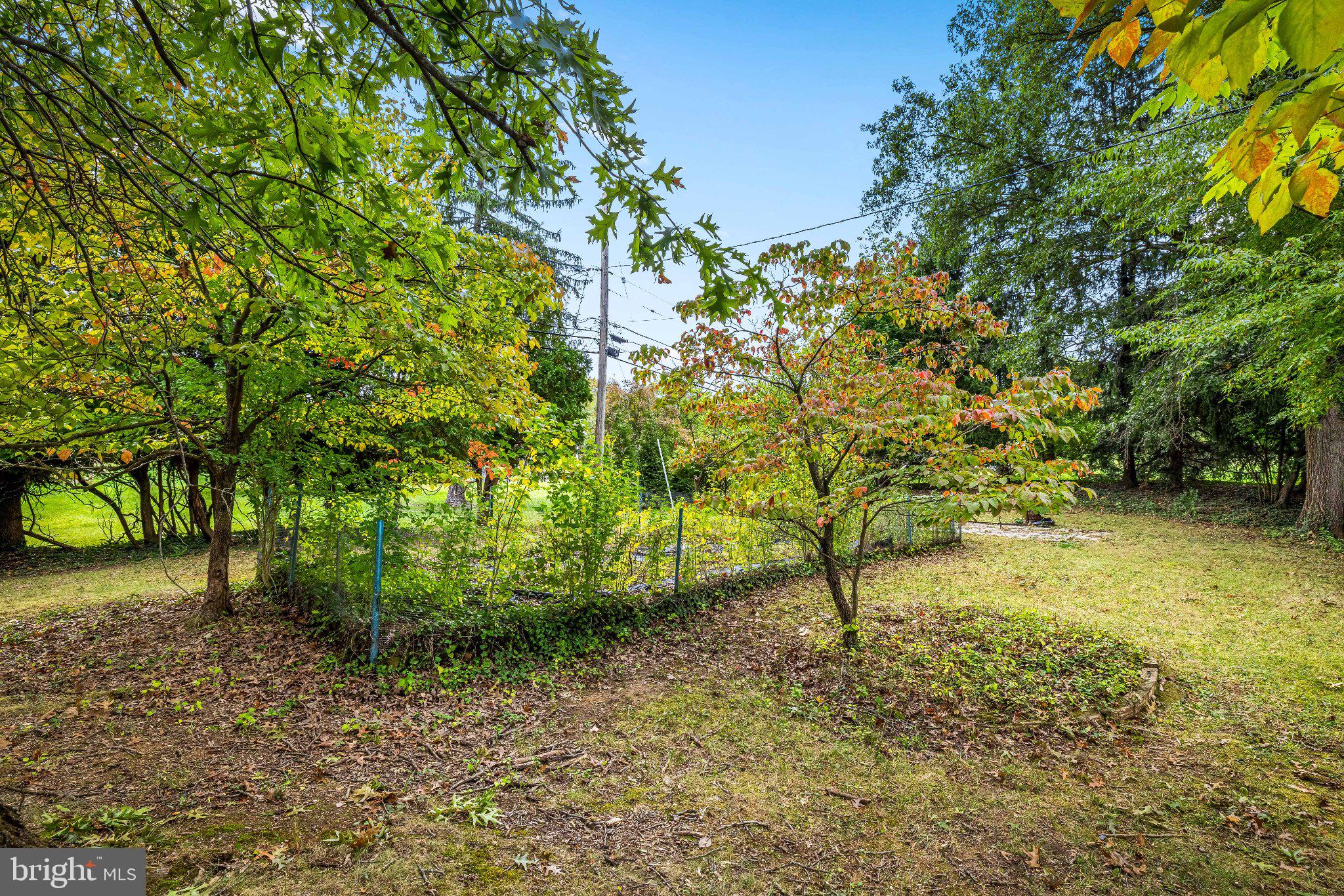 2114 Pot Spring Road Lutherville-Timonium, MD 21093 - Photo 46 of 49 Garden