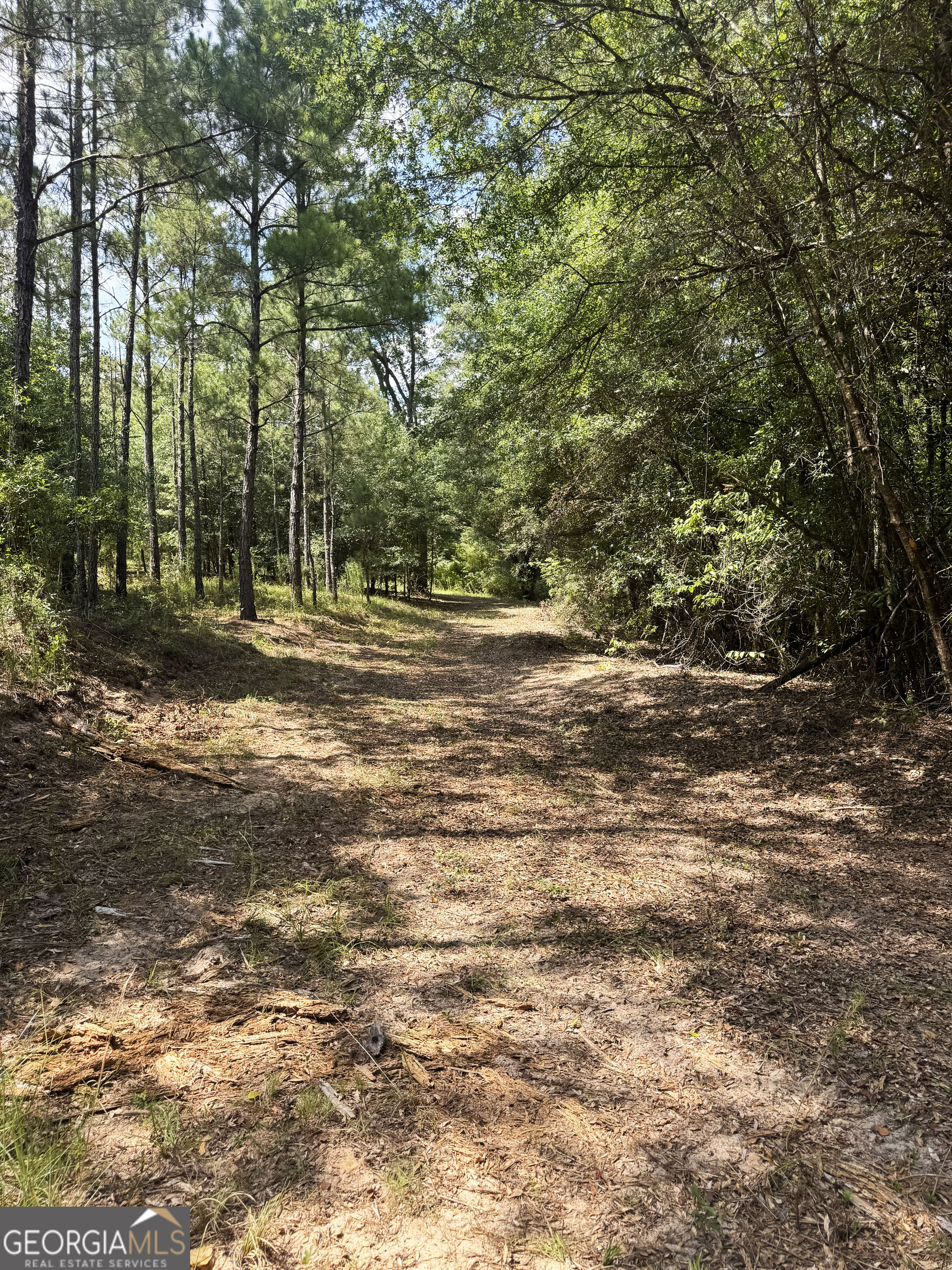 Tbd Tbd Wooten Road Cuthbert, GA 39840 - Photo 23 of 71