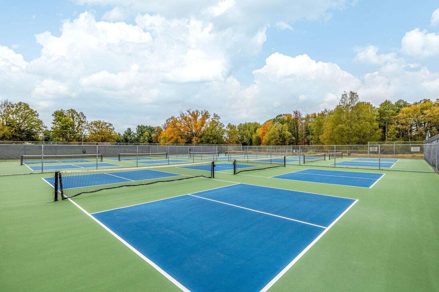 6718 Beechnut Ridge Canadian Lakes, MI 49346 - Photo 12 of 13 Pickleball Courts