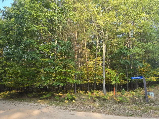 $12,000 | 6718 Beechnut Ridge, Stanwood, MI 49346