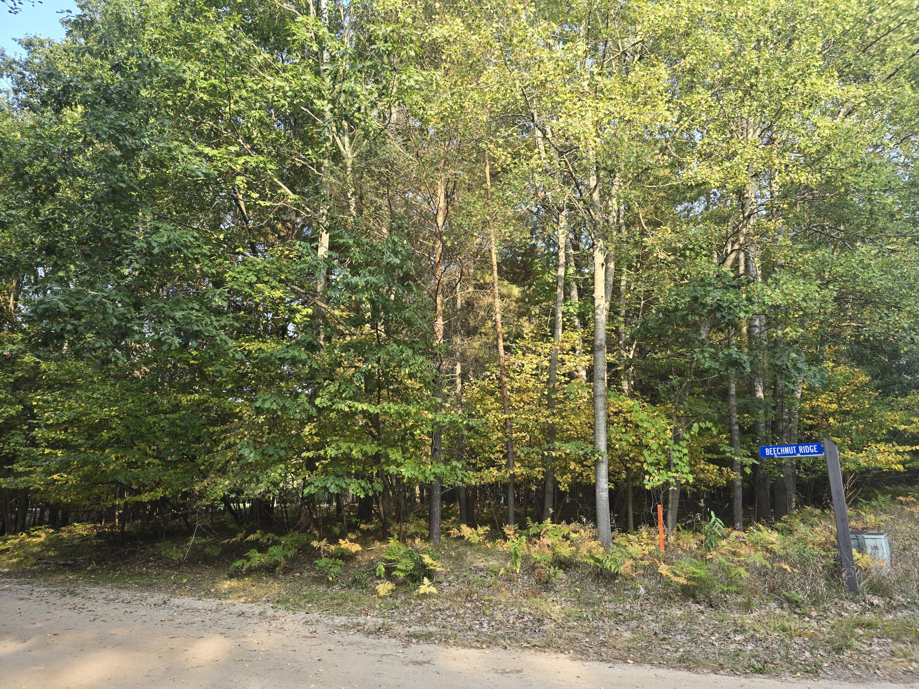 6718 Beechnut Ridge Canadian Lakes, MI 49346 - Photo 2 of 13 20250920_174317