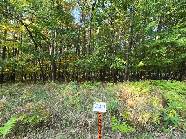 $12,000 | 6718 Beechnut Ridge, Stanwood, MI 49346