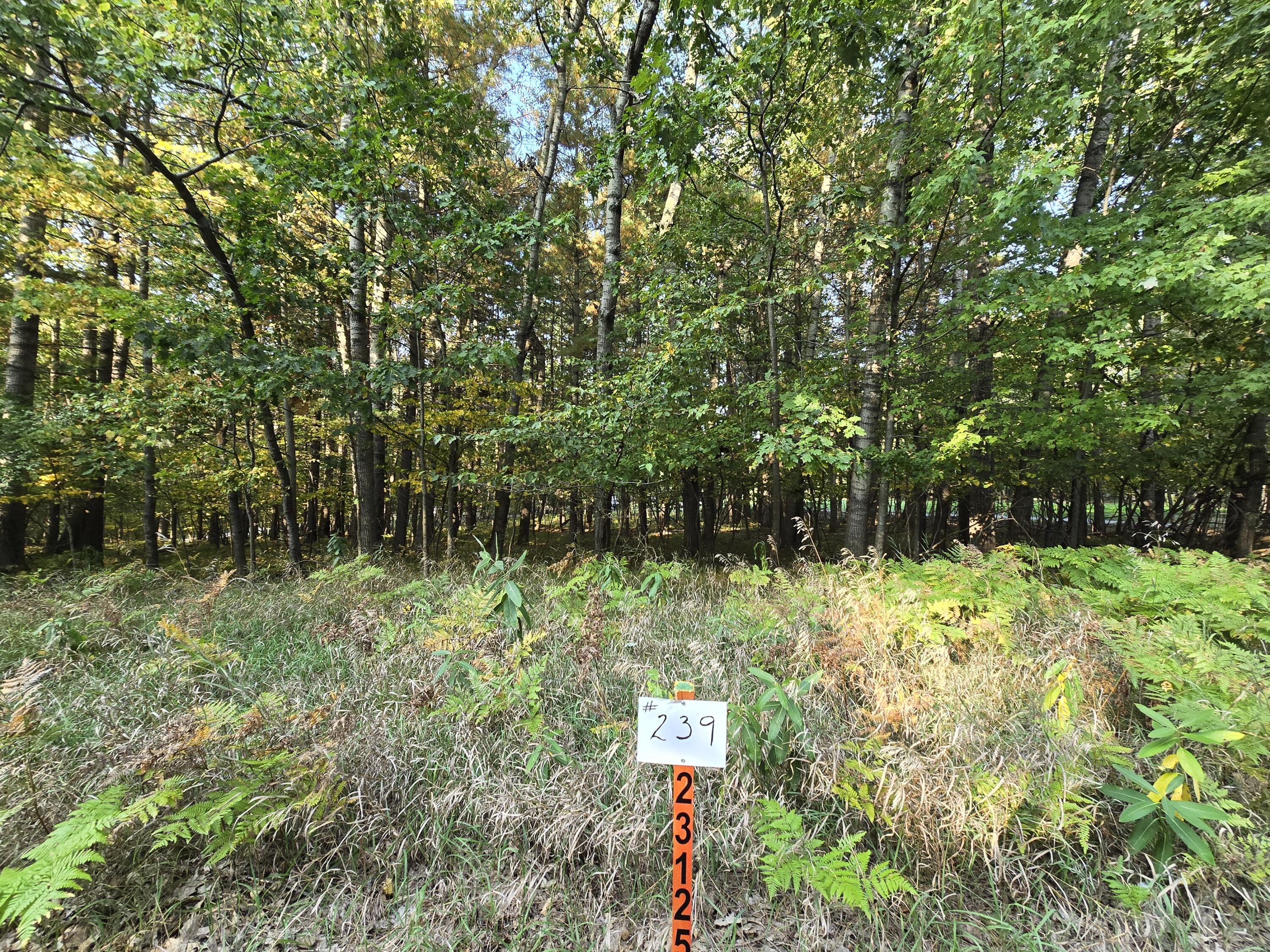 6718 Beechnut Ridge Canadian Lakes, MI 49346 - Photo 3 of 13 20250920_173455