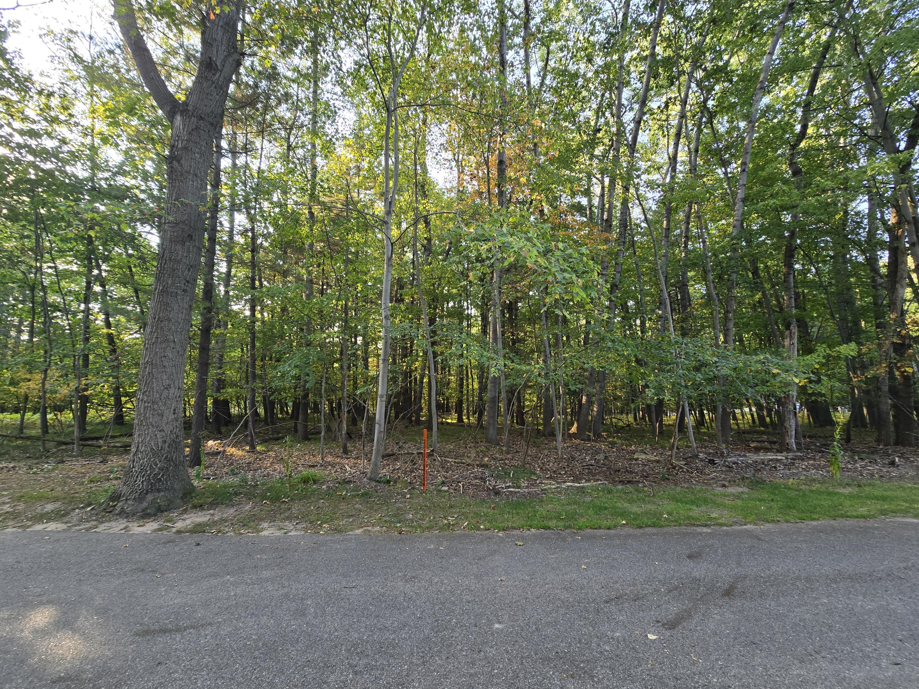 6718 Beechnut Ridge Canadian Lakes, MI 49346 - Photo 4 of 13 20250920_173612