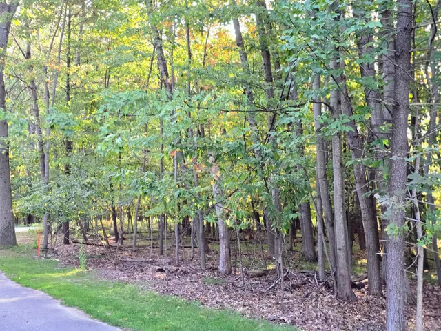 $12,000 | 6718 Beechnut Ridge, Stanwood, MI 49346