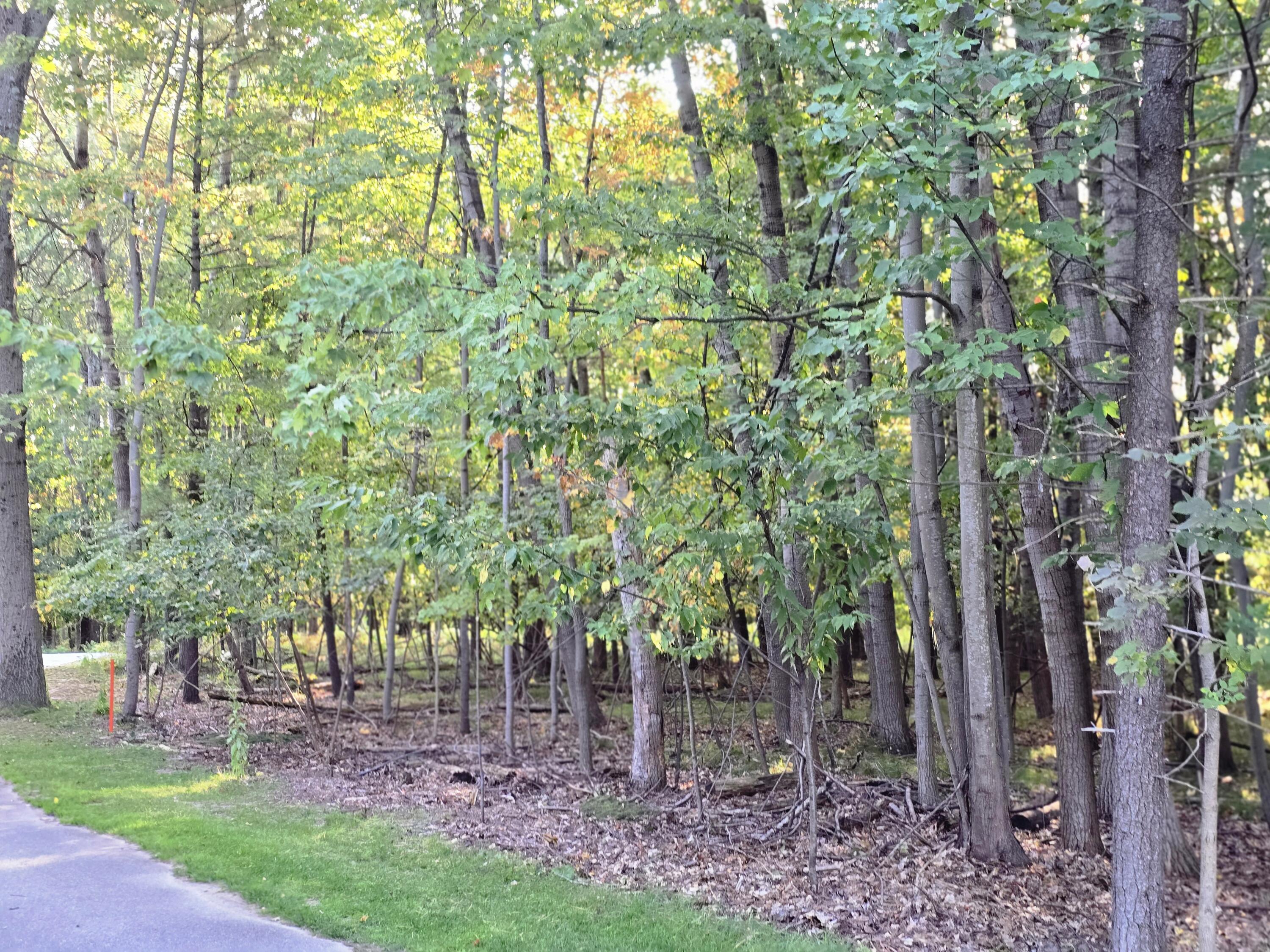 6718 Beechnut Ridge Canadian Lakes, MI 49346 - Photo 6 of 13 20250920_173821