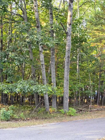 $12,000 | 6718 Beechnut Ridge, Stanwood, MI 49346